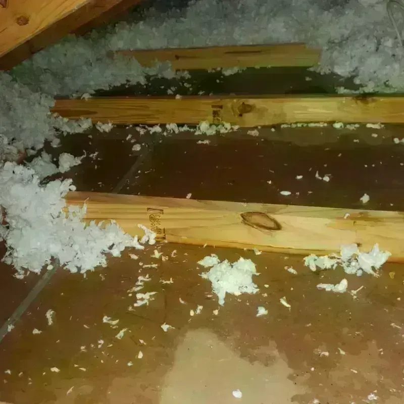 Attic Water Damage in Okfuskee County, OK