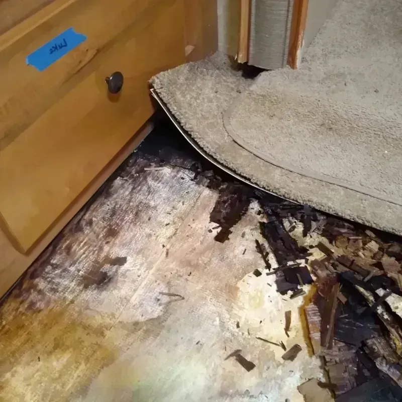 Wood Floor Water Damage in Okfuskee County, OK